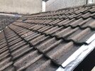 Roof 4.jpg