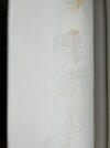 IMG_8033.jpeg