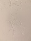 PXL_20260404_184723381.jpg