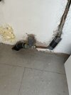 IMG_8055.jpeg