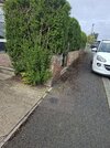 20260420_094229.jpg