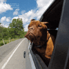 1776690137502.gif