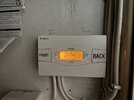 IMG_3242.jpeg
