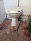 PXL_20260502_090108609.jpg