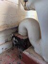 PXL_20260502_090125981.jpg