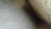 Ext2.3.JPG