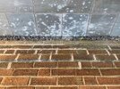 IMG_9352.jpeg