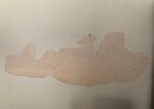 IMG_9026.jpeg
