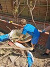 IMG_20260502_122241.jpg