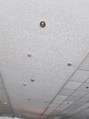 IMG_20260509_081800.jpg