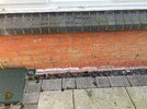 IMG_3979.jpeg