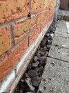 IMG_3983.jpeg