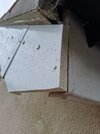 20260513_084643.jpg