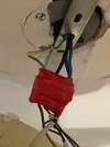 IMG_1466.jpeg