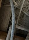 IMG_7979.jpeg