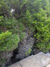 PXL_20260514_163902361.jpg