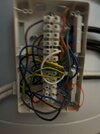 IMG_7237.jpeg