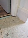 PXL_20260515_172000006.jpg