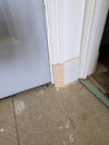 PXL_20260515_172003400.jpg