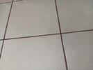 1000021057.jpg