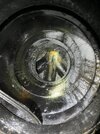 IMG_7013.jpeg