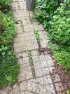 20260518_153204.jpg