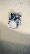 IMG_0830.jpeg