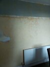 IMG_20260519_161600_189.jpg