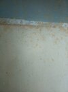 IMG_20260519_161705_377.jpg