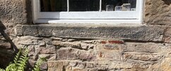 IMG_0080.jpeg