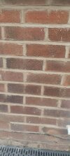 IMG_20260520_190652.jpg