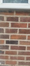 IMG_20260520_190647.jpg