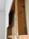 IMG_8338.jpeg