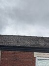 26794-Roofs-2.jpg
