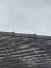 26794-Roofs-3.jpg