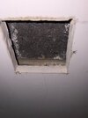 IMG_0764.jpeg