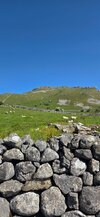 20260524_104057.jpg