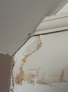 IMG_1200.jpeg
