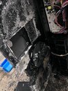IMG_8484.jpeg