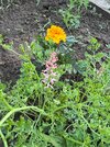 IMG_1401.jpeg