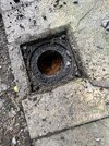 IMG_7187.jpeg