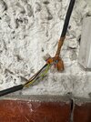 IMG_7644.jpeg