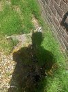 20260602_123304.jpg
