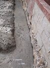 20260517_104941.jpg