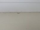 IMG_1908.jpeg
