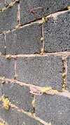 20260601_164534.jpg