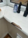 IMG_4104.jpeg