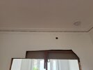 IMG_8418.jpeg