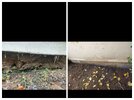 27b29c4f-0e28-4c1e-9c82-8b93ec4fa24e-COLLAGE.jpg