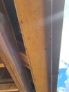 20260610_163826.jpg
